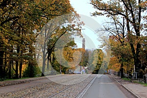 Tram rails on road