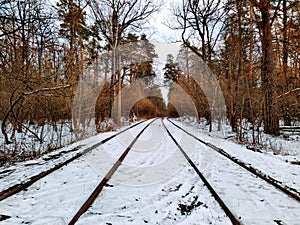 Tram rails in snowy winter forest