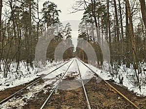 Tram rails in snowy winter forest