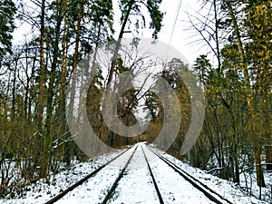 Tram rails in snowy winter forest