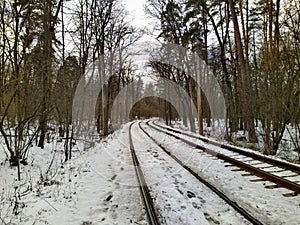 Tram rails in snowy winter forest