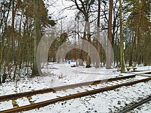Tram rails in snowy winter forest