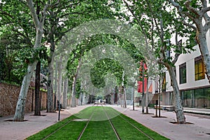 Tram rails on the street