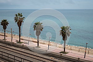 Tram railway and palms on sea waterfront in Vilassar de Mar photo