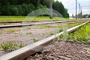 Tram track rails among green grass closeup