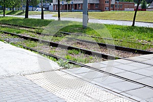 Tram track rails among green grass closeup