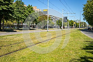 Tram tracks covered with grass in Rotterdam Netherlands city center