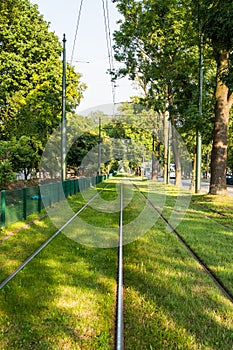 Tram tracks in the green city