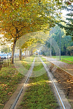 Tram tracks in perspective. Autumn season