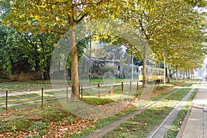 Tram tracks in perspective. Autumn season