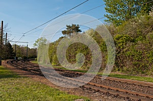 Tram tracks in Rostock Germany