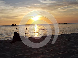 tramonto con barca e cane sulla sabbia photo
