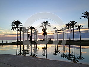 Tramonto fra le palme e il mare in una sera dorata photo