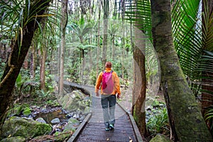 Tramping photo