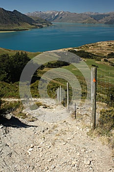 Tramping track above lake Hawea photo