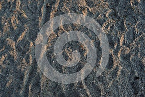 Trampled sand in fall with bike traces