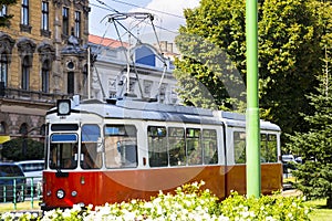 Trams on Arad streets, Romania