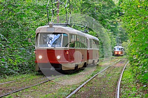 Trams with the lights on in the forest tunnel