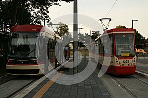 Trams waiting at the terminal station in GdaÅ„sk