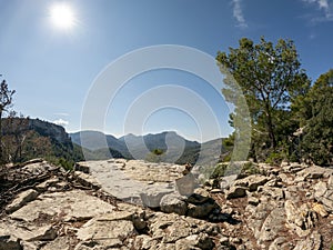 Tramuntana mountain range landscape , Mallorca, or Majorca, Balearic Islands, Spain, Europe
