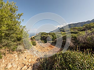 Tramuntana mountain range and Mediterranean sea beach , Mallorca, or Majorca, Balearic Islands, Spain, Europe