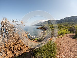 Tramuntana mountain range and Mediterranean sea beach , Mallorca, or Majorca, Balearic Islands, Spain, Europe