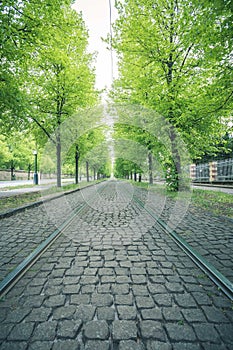 Tramway rails with cobblestone in Prague, Czech republic in spring