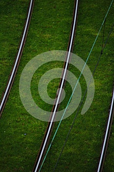 Tramway rails among grass top view. Poznan, Poland