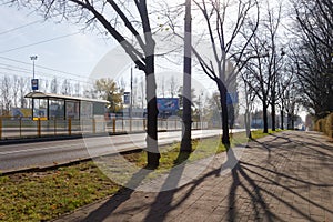 Tramway stop and a tree lined sidewalk