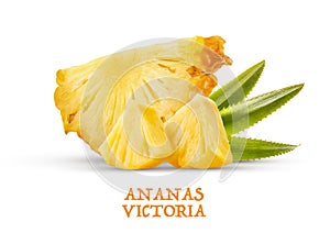 Tranches d`ananas Victoria mÃ»res sur fond blanc