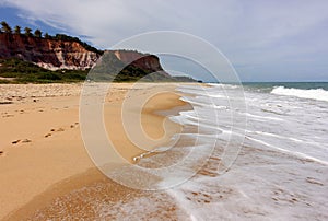 Spiaggia brasiliano tropicale Spiaggia 