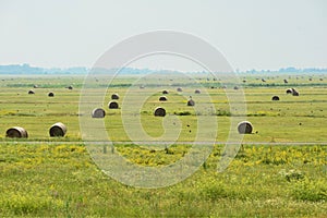 Tranditional hay rolls at Hortobagy