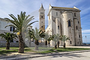Trani Cathedral with palms