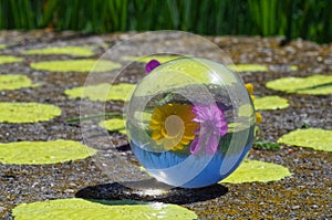 Tranparent ball reflecting two flowers