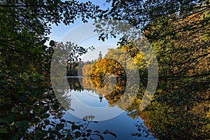 Tranquil autumn scenery with colorful trees