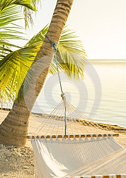 Tranquil Beach Hammock