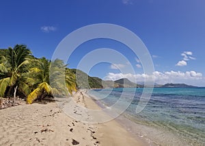 Tranquil Beach Ocean Scene