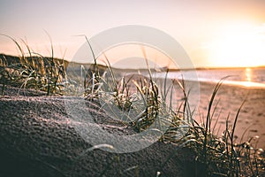 Tranquil beach in Ouddorp the Netherlands