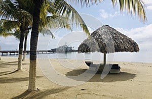 Tranquil Beach with Palm Trees and Thatched Roof with Yacht docked at a pier in the background