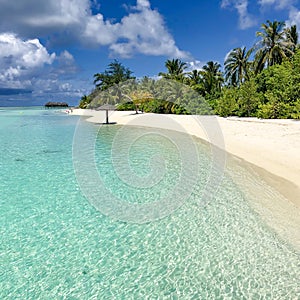 Tranquil beach scene, beautiful tropical landscape. Calm blue sea, palm trees and calm nature view. Summer vacation location.