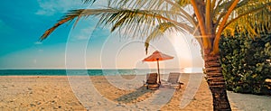 Tranquil beach scene. Exotic tropical beach landscape for background or wallpaper. Design of summer vacation holiday concept.