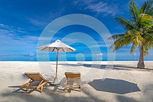 Tranquil beach scene. Exotic tropical beach resort, landscape for background, wallpaper. Design of summer vacation holiday