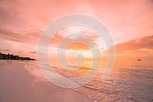 Tranquil beach scene. Exotic tropical beach landscape for background or wallpaper. Design of summer vacation holiday concept.