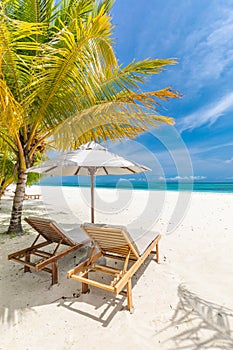 Beautiful tropical beach banner. White sand and coco palms travel tourism. Amazing beach landscape