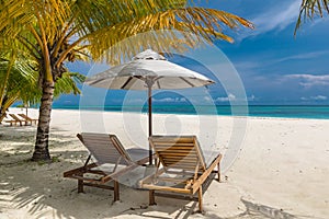 Beautiful tropical beach banner. White sand and coco palms travel tourism. Amazing beach landscape