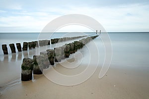 Tranquil beach scene featuring a line of wooden posts resting in the sand of a shoreline