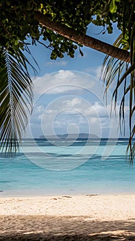 Tranquil beach scene with sandy shore, calm ocean, distant island, blue sky, and lush palm trees