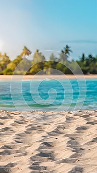 Tranquil beach scene with sandy shores, blue sea, palm trees, and clear sky on a sunny day