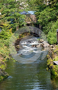 Tranquil body of water winds its way through a lush forest: Alaska, Ketchikan salmon ladder river