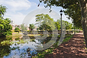 Tranquil Bridge and Tree Reflections in Nature's Waterway